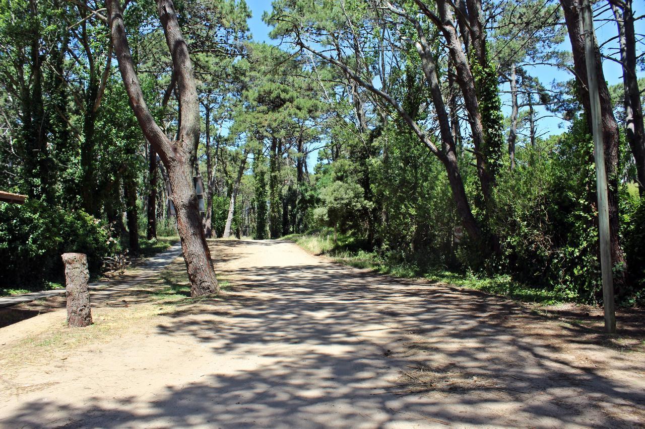 הוסטל ויז'ה חסל Ramma Camping מראה חיצוני תמונה