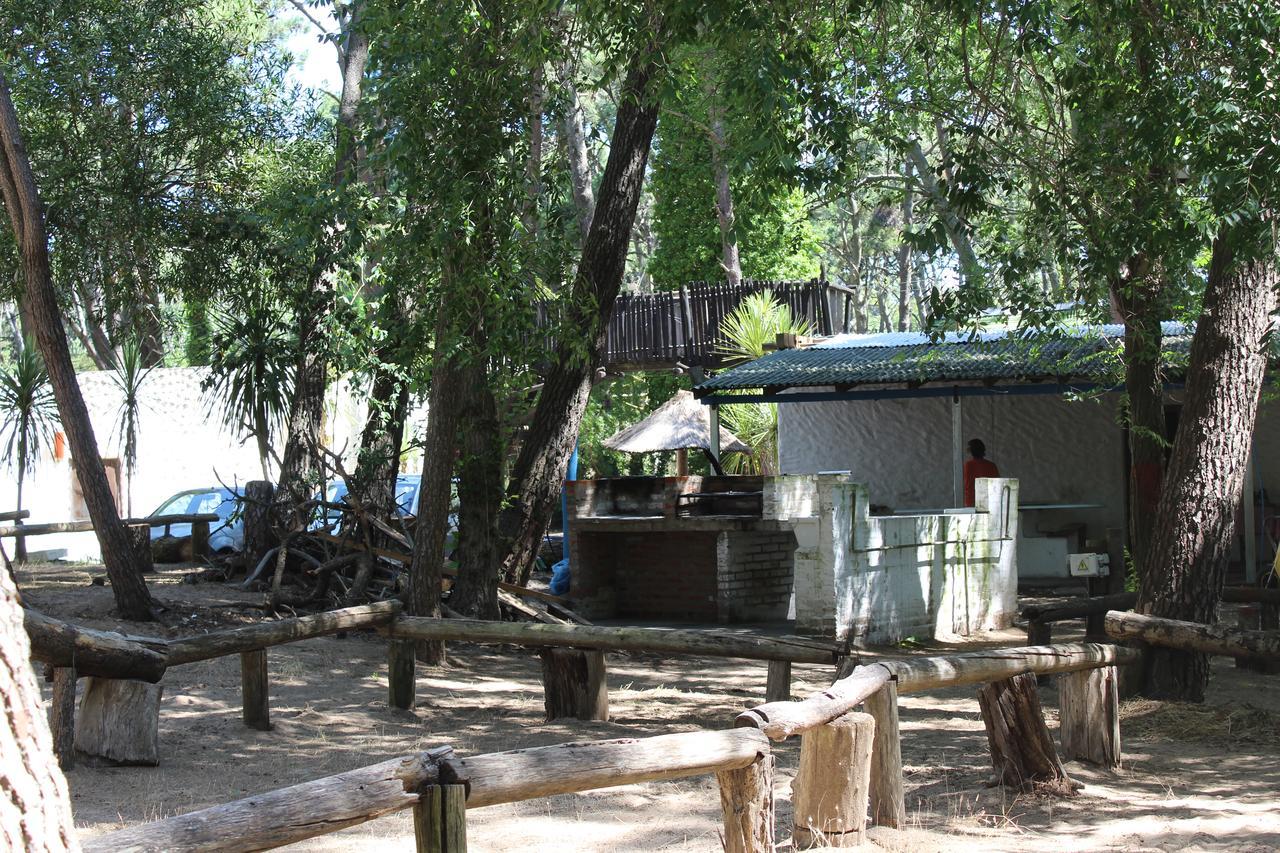 הוסטל ויז'ה חסל Ramma Camping מראה חיצוני תמונה