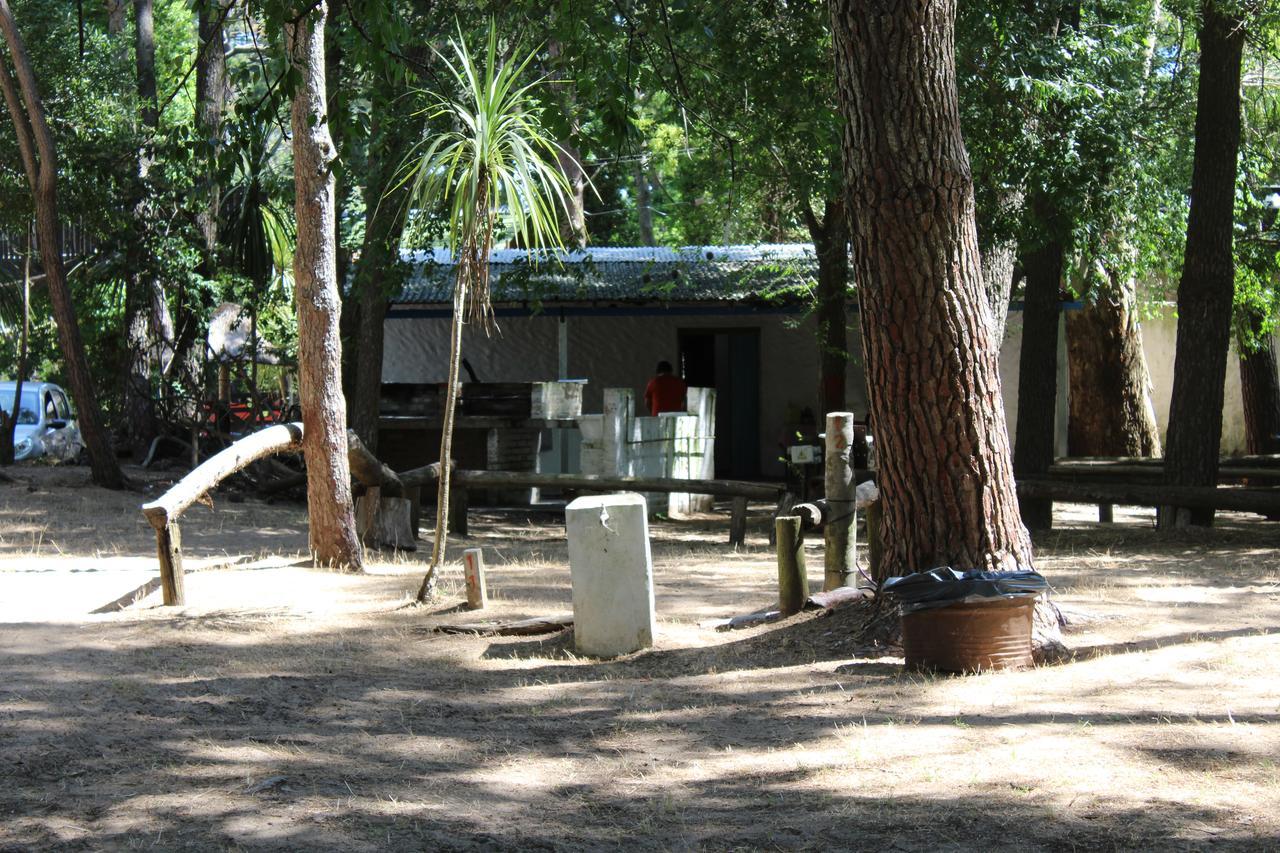 הוסטל ויז'ה חסל Ramma Camping מראה חיצוני תמונה